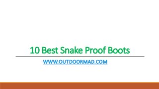 10 Best Snake Proof Boots
WWW.OUTDOORMAD.COM
 