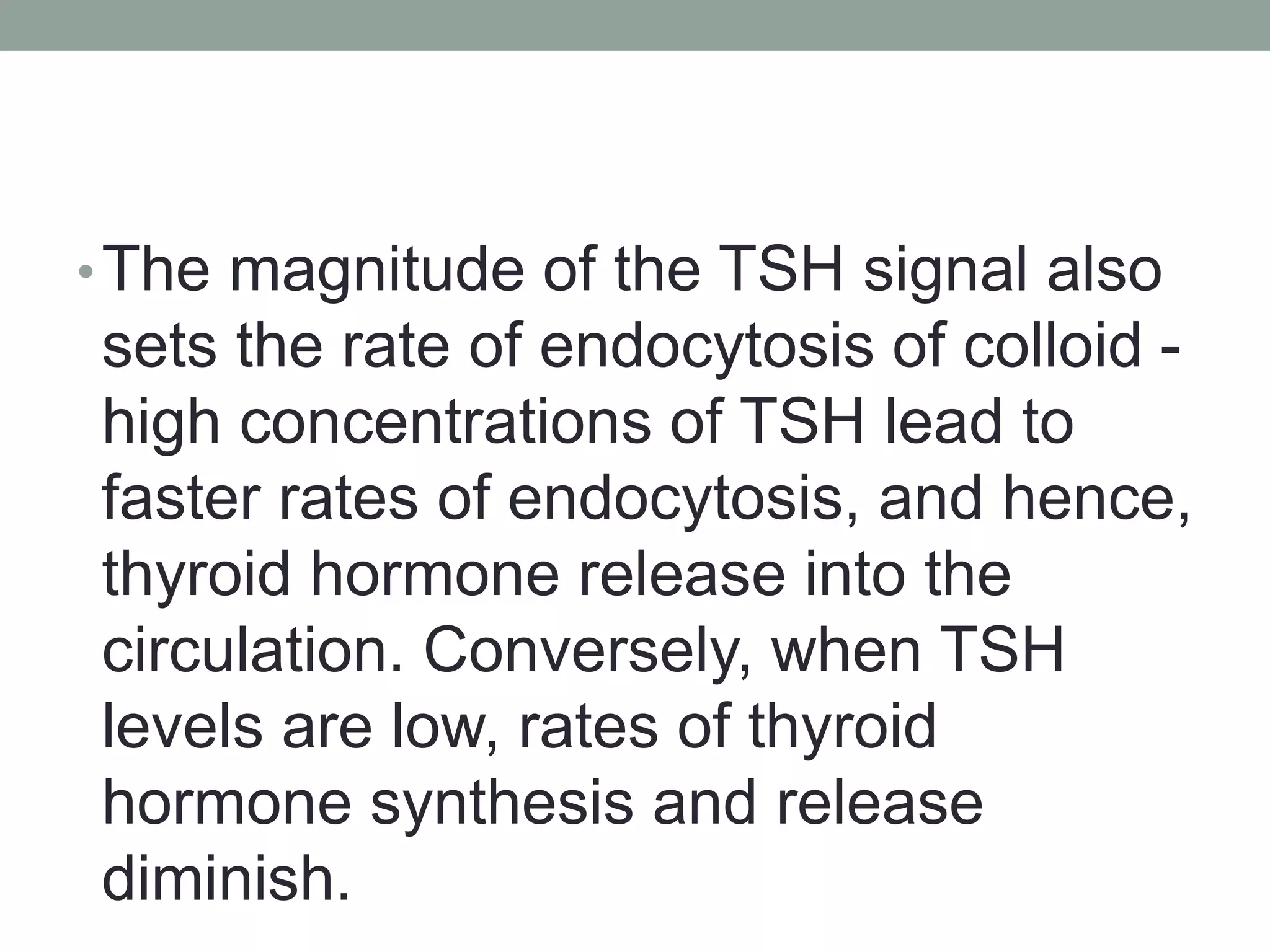 •The magnitude of the TSH signal also
sets the rate of endocytosis of colloid -
high concentrations of TSH lead to
faster rates of endocytosis, and hence,
thyroid hormone release into the
circulation. Conversely, when TSH
levels are low, rates of thyroid
hormone synthesis and release
diminish.
 