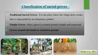 Grove Supplication Ritual TOPIC: SACRED GROVES THE BIODIVERSITY HOTSPOTSpptx pdf | PDF