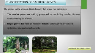 TOPIC: SACRED GROVES THE BIODIVERSITY HOTSPOTSpptx pdf | PDF