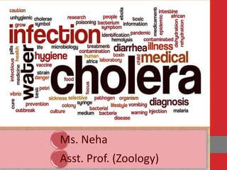Ms. Neha
Asst. Prof. (Zoology)
 
