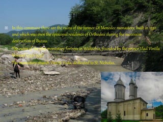  In this commune there are the ruins of the former Ot Menedec monastery, built in 1532
and which was even the episcopal residence of Orthodox during the successive
destruction of Buzau.
 The ruins of the first monastery fortress in Wallachia, founded by the prince Vlad Vintila
Voievod (1532-1535)
 The monastery church Vintilă Voda, dedicated to St. Nicholas.
 