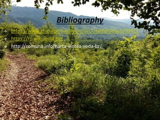  https://www.ghidulprimariilor.ro/list/cityHallDetails/39412
 https://ro.wikipedia.org
 http://comuna.info/harta-vintila-voda-bz/
 