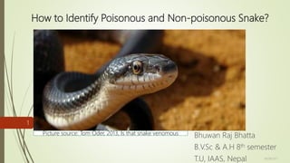 How to Identify Poisonous and Non-poisonous Snake?
Bhuwan Raj Bhatta
B.V.Sc & A.H 8th semester
T.U, IAAS, Nepal
Picture source: Tom Oder, 2013, Is that snake venomous
08/08/2017
1
 