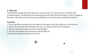 E. Blind spot
The blind spot located where the optic nerve exits the retina. It is an area in the visual field with
no photoreceptors. The blind spot is not noticed because the brain fills in the image. If there is damage to
the retina, other blind spots may be present and likewise not noticed unless specifically tested for.
Procedure:
1. Close your left eye and put your nose almost on the page so that your right eye is over the cross.
2. Slowly lift your head while looking at the cross. At some point the dot will disappear.
3. Measure the distance between your eye and the paper.
4. Turn the book upside down and repeat with the other eye.
5. Record the blind spot distance for each eye.
+ .
 