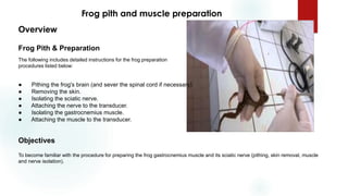 Frog pith and muscle preparation
Overview
Frog Pith & Preparation
The following includes detailed instructions for the frog preparation
procedures listed below:
● Pithing the frog's brain (and sever the spinal cord if necessary).
● Removing the skin.
● Isolating the sciatic nerve.
● Attaching the nerve to the transducer.
● Isolating the gastrocnemius muscle.
● Attaching the muscle to the transducer.
Objectives
To become familiar with the procedure for preparing the frog gastrocnemius muscle and its sciatic nerve (pithing, skin removal, muscle
and nerve isolation).
 