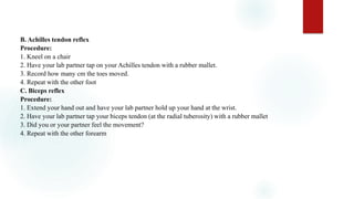 B. Achilles tendon reflex
Procedure:
1. Kneel on a chair
2. Have your lab partner tap on your Achilles tendon with a rubber mallet.
3. Record how many cm the toes moved.
4. Repeat with the other foot
C. Biceps reflex
Procedure:
1. Extend your hand out and have your lab partner hold up your hand at the wrist.
2. Have your lab partner tap your biceps tendon (at the radial tuberosity) with a rubber mallet
3. Did you or your partner feel the movement?
4. Repeat with the other forearm
 
