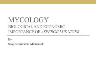 MYCOLOGY
BIOLOGICALAND ECONOMIC
IMPORTANCE OF ASPERGILLUS NIGER
By
Saajida Sultaana Mahusook
 