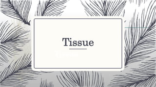Tissue
Tissue
 