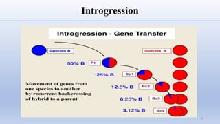 Development of chromosome substitution lines and their utilization in ...