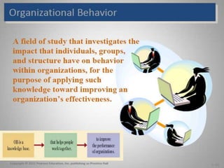 organizational behavior introduction