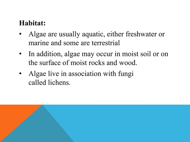 Which Of The Following Can Be Characteristics Of Algae Phycology- GENERAL CHARACTERISTICS OF ALGAE | PPT