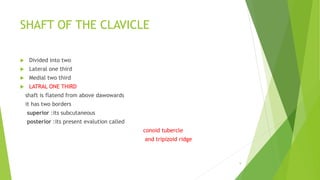 Conoid Ridge clavicale | PPTX