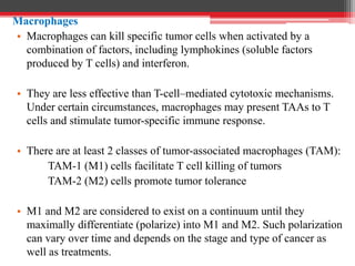 Macrophages
• Macrophages can kill specific tumor cells when activated by a
combination of factors, including lymphokines (soluble factors
produced by T cells) and interferon.
• They are less effective than T-cell–mediated cytotoxic mechanisms.
Under certain circumstances, macrophages may present TAAs to T
cells and stimulate tumor-specific immune response.
• There are at least 2 classes of tumor-associated macrophages (TAM):
TAM-1 (M1) cells facilitate T cell killing of tumors
TAM-2 (M2) cells promote tumor tolerance
• M1 and M2 are considered to exist on a continuum until they
maximally differentiate (polarize) into M1 and M2. Such polarization
can vary over time and depends on the stage and type of cancer as
well as treatments.
 