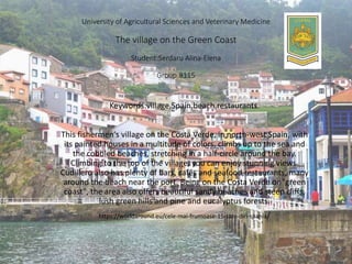 University of Agricultural Sciences and Veterinary Medicine
The village on the Green Coast
Student:Serdaru Alina-Elena
Group:8115
Keywords:village,Spain,beach,restaurants.
This fishermen's village on the Costa Verde, in north-west Spain, with
its painted houses in a multitude of colors, climbs up to the sea and
the cobbled beaches, stretching in a half-circle around the bay.
Climbing to the top of the village, you can enjoy stunning views.
Cudillero also has plenty of bars, cafés and seafood restaurants, many
around the beach near the port. Being on the Costa Verde or "green
coast", the area also offers beautiful sandy beaches and steep cliffs,
lush green hills and pine and eucalyptus forests.
https://worldaround.eu/cele-mai-frumoase-15-sate-din-spania/
 