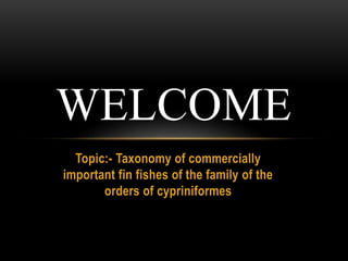 Topic:- Taxonomy of commercially
important fin fishes of the family of the
orders of cypriniformes
WELCOME
 