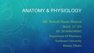 ANATOMY & PHYSIOLOGY
Md. Mehedi Hasan Shawon
Batch: 31st (D)
ID: 2018000300093
Department Of Pharmacy
Southeast University
Banani, Dhaka
 