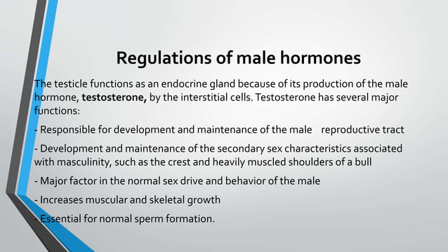 Male reproductive system of cattle | PPT