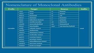 MONOCLONAL ANTIBODIES | PPTX