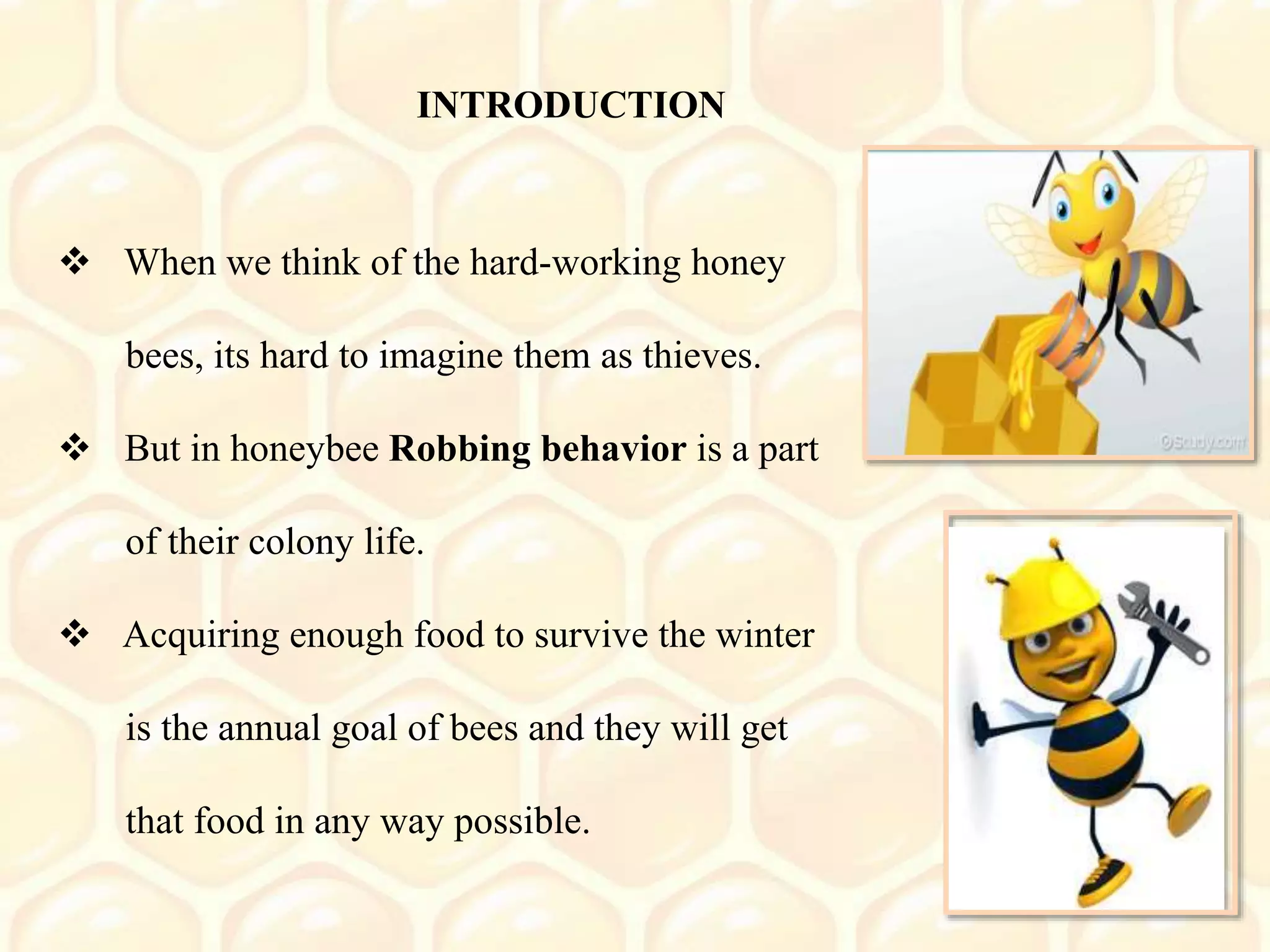 Robbing in honey bees | PPTX
