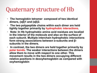 Quaternary structure of Hb
• The hemoglobin tetramer composed of two identical
dimers, (αβ)1 and (αβ)2.
• The two polypeptide chains within each dimer are held
tightly together primarily by hydrophobic interactions.
• Note: In Hb hydrophobic amino acid residues are localizd
in the interior of the molecule and also on the surface of
each subunit. Multiple interchain hydrophobic interactions
form strong associations between α-subunits and β-
subunits in the dimers.
• In contrast, the two dimers are held together primarily by
polar bonds. The weaker interactions between the dimers
allow them to move with respect to one other. This
movement results in the two dimers occupying different
relative positions in deoxyhemoglobin as compared with
oxyhemoglobin
 