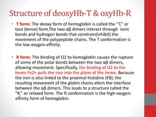 Structure of deoxyHb-T & oxyHb-R
• T form: The deoxy form of hemoglobin is called the “T,” or
taut (tense) form.The two αβ dimers interact through ionic
bonds and hydrogen bonds that constrain(inhibit) the
movement of the polypeptide chains. The T conformation is
the low-oxygen-affinity.
• R form: The binding of O2 to hemoglobin causes the rupture
of some of the polar bonds between the two αβ dimers,
allowing movement. Specifically, the binding of O2 to the
heme Fe2+ pulls the iron into the plane of the heme. Because
the iron is also linked to the proximal histidine (F8), the
resulting movement of the globin chains alters the interface
between the αβ dimers. This leads to a structure called the
“R,” or relaxed form. The R conformation is the high-oxygen-
affinity form of hemoglobin.
 