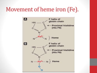 Movement of heme iron (Fe).
 