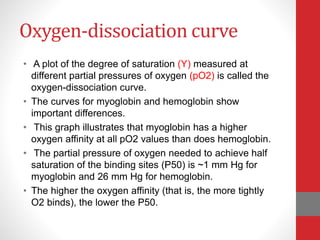 Oxygen-dissociation curve
• A plot of the degree of saturation (Y) measured at
different partial pressures of oxygen (pO2) is called the
oxygen-dissociation curve.
• The curves for myoglobin and hemoglobin show
important differences.
• This graph illustrates that myoglobin has a higher
oxygen affinity at all pO2 values than does hemoglobin.
• The partial pressure of oxygen needed to achieve half
saturation of the binding sites (P50) is ~1 mm Hg for
myoglobin and 26 mm Hg for hemoglobin.
• The higher the oxygen affinity (that is, the more tightly
O2 binds), the lower the P50.
 