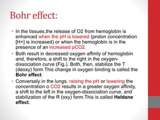 Bohr effect:
• In the tissues,the release of O2 from hemoglobin is
enhanced when the pH is lowered (proton concentration
[H+] is increased) or when the hemoglobin is in the
presence of an increased pCO2.
• Both result in decreased oxygen affinity of hemoglobin
and, therefore, a shift to the right in the oxygen-
dissociation curve (Fig.). Both, then, stabilize the T
(deoxy) form This change in oxygen binding is called the
Bohr effect.
• Conversely in the lungs, raising the pH or lowering the
concentration o CO2 results in a greater oxygen affinity,
a shift to the left in the oxygen-dissociation curve, and
stabilization of the R (oxy) form.This is called Heldane
effect.
 