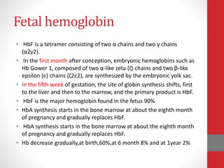 Fetal hemoglobin
• HbF is a tetramer consisting of two α chains and two γ chains
(α2γ2).
• In the first month after conception, embryonic hemoglobins such as
Hb Gower 1, composed of two α-like zeta (ζ) chains and two β-like
epsilon (ε) chains (ζ2ε2), are synthesized by the embryonic yolk sac.
• In the fifth week of gestation, the site of globin synthesis shifts, first
to the liver and then to the marrow, and the primary product is HbF.
• HbF is the major hemoglobin found in the fetus 90%
• HbA synthesis starts in the bone marrow at about the eighth month
of pregnancy and gradually replaces HbF.
• HbA synthesis starts in the bone marrow at about the eighth month
of pregnancy and gradually replaces HbF.
• Hb decrease gradually,at birth,60%,at 6 month 8% and at 1year 2%
 
