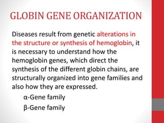 GLOBIN GENE ORGANIZATION
Diseases result from genetic alterations in
the structure or synthesis of hemoglobin, it
is necessary to understand how the
hemoglobin genes, which direct the
synthesis of the different globin chains, are
structurally organized into gene families and
also how they are expressed.
α-Gene family
β-Gene family
 