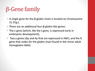 β-Gene family
• A single gene for the β-globin chain is located on chromosome
11 (Fig.).
• There are an additional four β-globin-like genes:
• The ε gene (which, like the ζ gene, is expressed early in
embryonic development),
• Two γ genes (Gγ and Aγ that are expressed in HbF), and the δ
gene that codes for the globin chain found in the minor adult
hemoglobin HbA2.
 