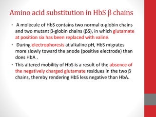 Amino acid substitution in HbS β chains
• A molecule of HbS contains two normal α-globin chains
and two mutant β-globin chains (βS), in which glutamate
at position six has been replaced with valine.
• During electrophoresis at alkaline pH, HbS migrates
more slowly toward the anode (positive electrode) than
does HbA .
• This altered mobility of HbS is a result of the absence of
the negatively charged glutamate residues in the two β
chains, thereby rendering HbS less negative than HbA.
 