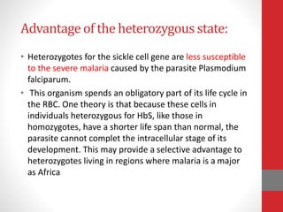 Advantage of the heterozygous state:
• Heterozygotes for the sickle cell gene are less susceptible
to the severe malaria caused by the parasite Plasmodium
falciparum.
• This organism spends an obligatory part of its life cycle in
the RBC. One theory is that because these cells in
individuals heterozygous for HbS, like those in
homozygotes, have a shorter life span than normal, the
parasite cannot complet the intracellular stage of its
development. This may provide a selective advantage to
heterozygotes living in regions where malaria is a major
as Africa
 