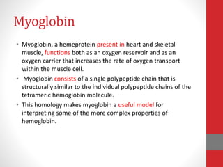 Myoglobin
• Myoglobin, a hemeprotein present in heart and skeletal
muscle, functions both as an oxygen reservoir and as an
oxygen carrier that increases the rate of oxygen transport
within the muscle cell.
• Myoglobin consists of a single polypeptide chain that is
structurally similar to the individual polypeptide chains of the
tetrameric hemoglobin molecule.
• This homology makes myoglobin a useful model for
interpreting some of the more complex properties of
hemoglobin.
 