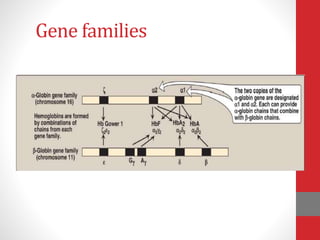Gene families
 