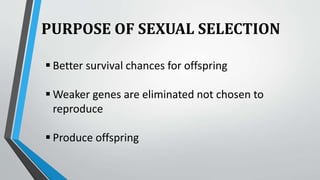 PURPOSE OF SEXUAL SELECTION
 Better survival chances for offspring
 Weaker genes are eliminated not chosen to
reproduce
 Produce offspring
 