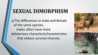 SEXUAL DIMORPHISM
 The differences in male and female
of the same species.
males often have more
deleterious characters(characteristics
that reduce survival chances.
 