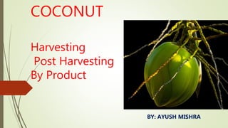 COCONUT
Harvesting
Post Harvesting
By Product
BY: AYUSH MISHRA
 