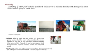 Processing
1.Gathering of cotton pods: Cotton is picked with hands as well as machines from the fields. Hand picked cotton
results in better quality of cotton fabric.
.
HARVESTING OF COTTON FIBER
2.Ginning: After the cotton has been picked, it‘s taken to the
ginning machine. The fiber is now called cotton Lint. This process
separates the seed from the lint. Apart from that it also separates
twigs, leaves and dirt. The seeds are used for the production of oil,
hydrogenated fats, soaps and cosmetics. Cotton mass is then left
behind.
3. Bailing: The cotton mass is then compressed into bales .these are wrapped with
jute sacking and bound with steel bands. Cotton is supplied to mills in
 