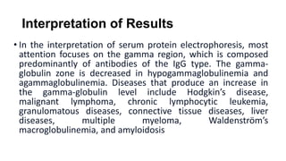 Interpretation of Results
• In the interpretation of serum protein electrophoresis, most
attention focuses on the gamma re...