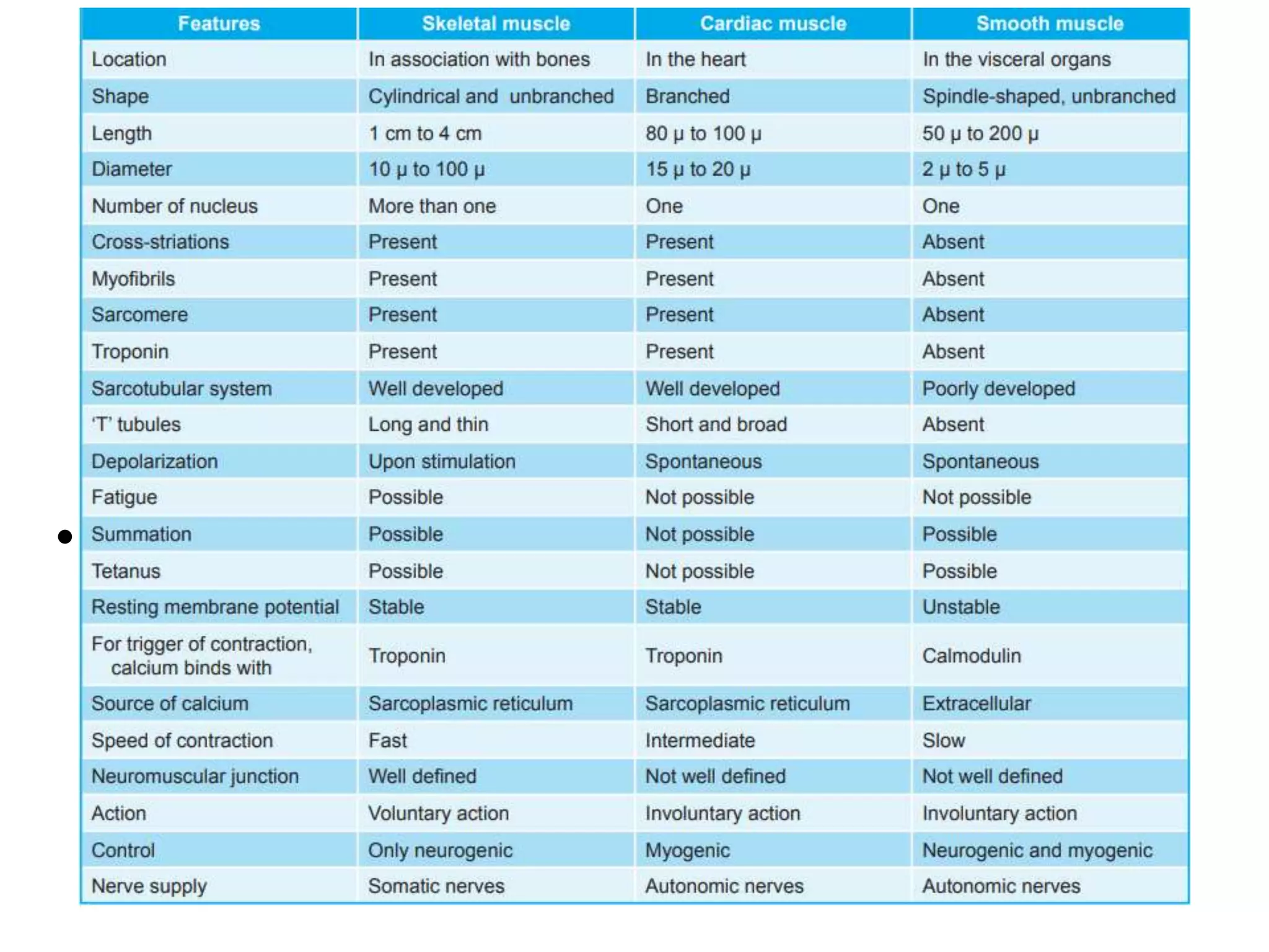 MUSCULAR SYSTEM AND ITS COMPONENTS | PPTX | Physical Therapy | Wellness