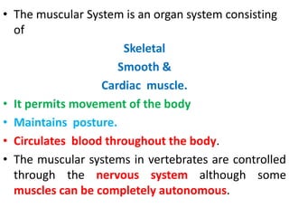 • The muscular System is an organ system consisting
of
Skeletal
Smooth &
Cardiac muscle.
• It permits movement of the body
• Maintains posture.
• Circulates blood throughout the body.
• The muscular systems in vertebrates are controlled
through the nervous system although some
muscles can be completely autonomous.
 