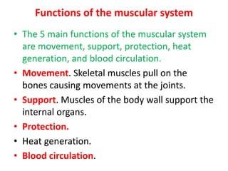 Functions of the muscular system
• The 5 main functions of the muscular system
are movement, support, protection, heat
generation, and blood circulation.
• Movement. Skeletal muscles pull on the
bones causing movements at the joints.
• Support. Muscles of the body wall support the
internal organs.
• Protection.
• Heat generation.
• Blood circulation.
 