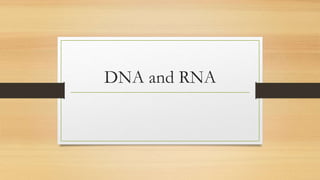 DNA and RNA
 