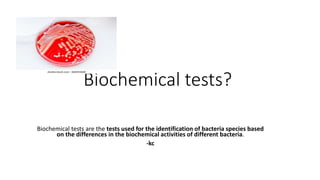 Biochemical tests?
Biochemical tests are the tests used for the identification of bacteria species based
on the differences in the biochemical activities of different bacteria.
-kc
 
