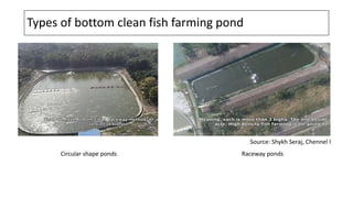 Bottom clean Aquaculture system and It’s Engineering Principle | PPT