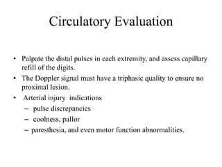 Circulatory Evaluation
• Palpate the distal pulses in each extremity, and assess capillary
refill of the digits.
• The Doppler signal must have a triphasic quality to ensure no
proximal lesion.
• Arterial injury indications
– pulse discrepancies
– coolness, pallor
– paresthesia, and even motor function abnormalities.
 