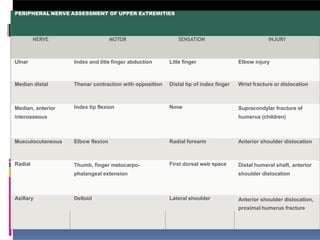 PERIPHERAL NERVE ASSESSMENT OF UPPER ExTREMITIES
NERVE MOTOR SENSATION INJURY
Ulnar Index and litle finger abduction Litle finger Elbow injury
Median distal Thenar contraction with opposition Distal tip of index finger Wrist fracture or dislocation
Median, anterior
interosseous
Index tip flexion None Supracondylar fracture of
humerus (children)
Musculocutaneous Elbow flexion Radial forearm Anterior shoulder dislocation
Radial Thumb, finger metocarpo-
phalangeal extension
First dorsal web space Distal humeral shaft, anterior
shoulder dislocation
Axillary Deltoid Lateral shoulder Anterior shoulder dislocation,
proximal humerus fracture
 