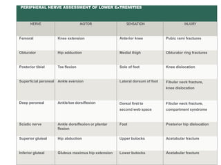 PERIPHERAL NERVE ASSESSMENT OF LOWER ExTREMITIES
NERVE MOTOR SENSATION INJURY
Femoral Knee extension Anterior knee Pubic rami fractures
Obturator Hip adduction Medial thigh Obturator ring fractures
Posterior tibial Toe flexion Sole of foot Knee dislocation
Superficial peroneal Ankle eversion Lateral dorsum of foot Fibular neck fracture,
knee dislocation
Deep peroneal Ankle/toe dorsiflexion Dorsal first to
second web space
Fibular neck fracture,
compartment syndrome
Sciatic nerve Ankle dorsiflexion or plantar
flexion
Foot Posterior hip dislocation
Superior gluteal Hip abduction Upper butocks Acetabular fracture
Inferior gluteal Gluteus maximus hip extension Lower butocks Acetabular fracture
 